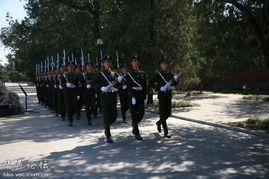 我们队伍向太阳  2010年,追逐太阳的队伍，梦想与挑战的征程